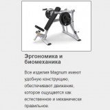MATRIX Magnum MG-A678 Олимпийская скамья с доводчиком