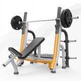 MATRIX Magnum MG-A679 Олимпийская скамья с доводчиком